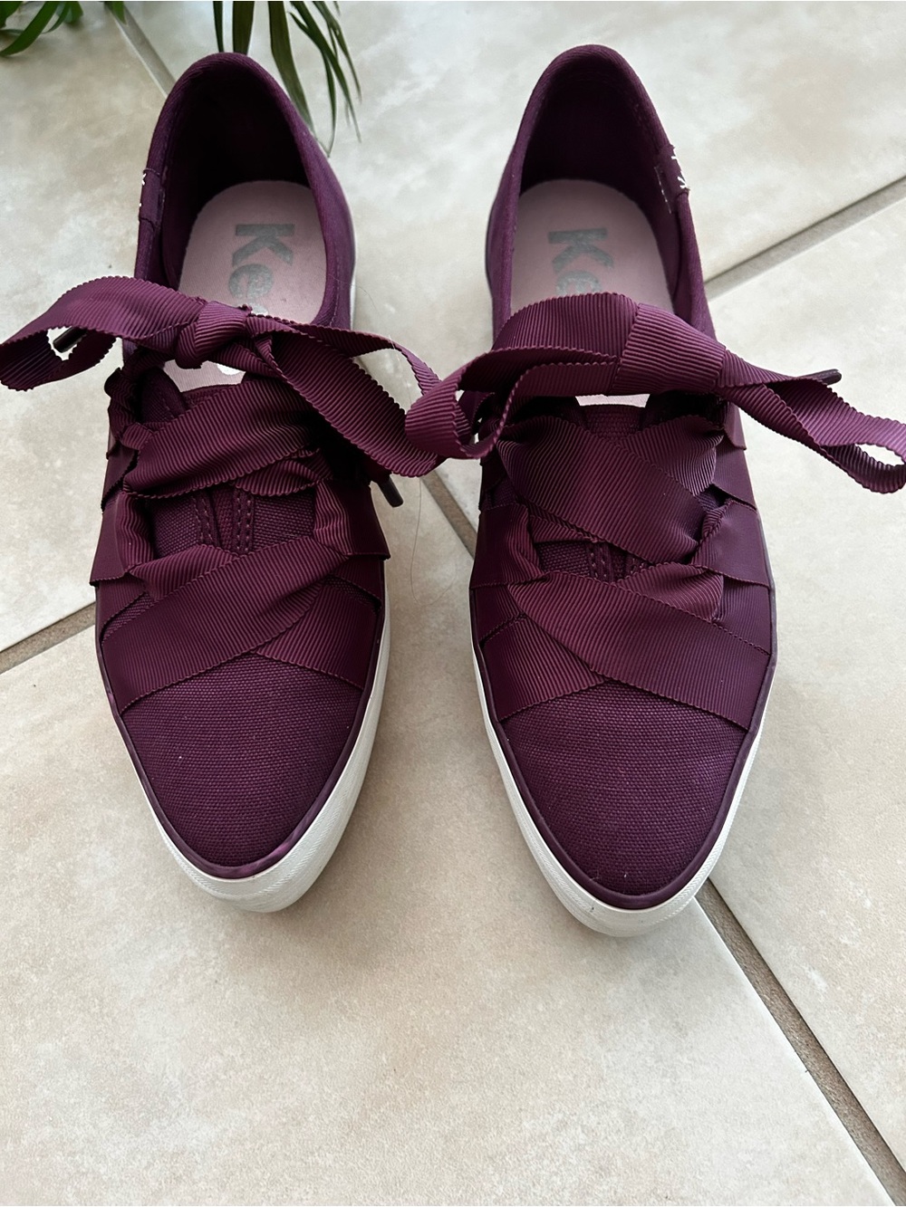 Keds Women's Sneakers in Plum with Ribbon Laces